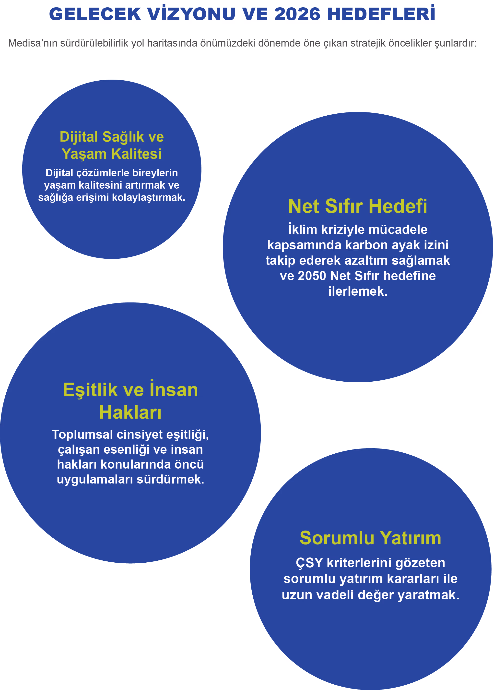 Medisa sürdürülebilirlik göstergeleri grafiği